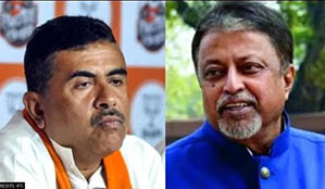 ঘাস নাকি পদ্ম , কোন ফুলে মুকুল ?